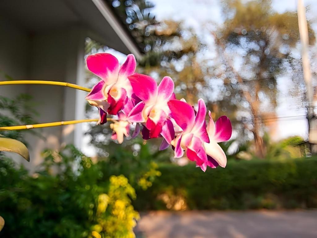 Chayada Garden House And Resort Hotel Nakhon Ratchasima Bagian luar foto